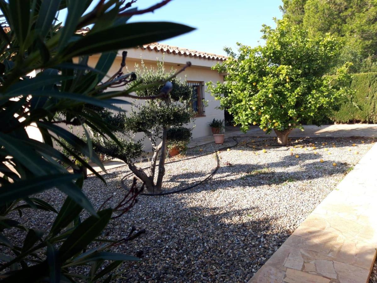Vila Casa La Rana Calafat Exteriér fotografie