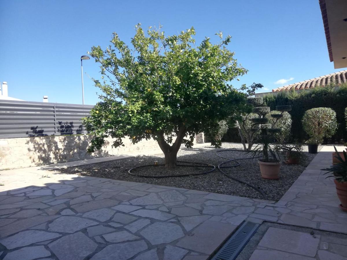 Vila Casa La Rana Calafat Exteriér fotografie
